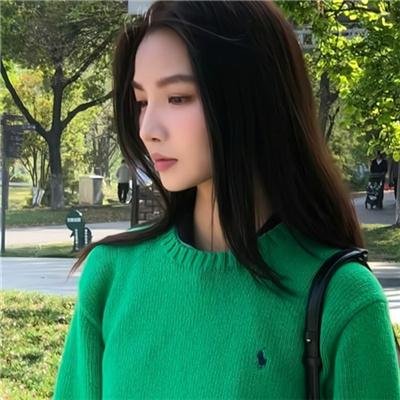 鸟儿们的奇幻冒险